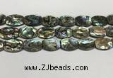 CSB4164 15.5 inches 18*25mm flat drum abalone shell beads wholesale