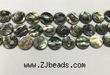 CSB4172 15.5 inches 16*16mm coin abalone shell beads wholesale