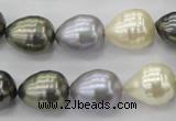 CSB552 15.5 inches 12*15mm whorl teardrop mixed color shell pearl beads