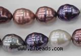 CSB553 15.5 inches 12*15mm whorl teardrop mixed color shell pearl beads