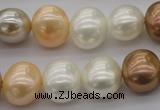 CSB695 15.5 inches 13*15mm oval mixed color shell pearl beads