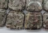 CSF06 15.5 inches 20*20mm square shell fossil jasper beads