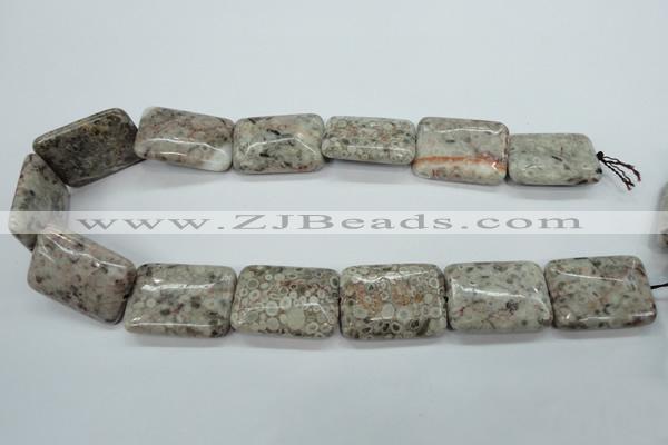 CSF10 15.5 inches 22*30mm rectangle shell fossil jasper beads