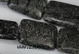 CSI117 15.5 inches 22*30mm rectangle silver scale stone beads