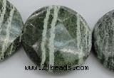 CSJ125 15.5 inches 40mm faceted coin green silver line jasper beads