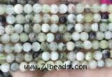 CSJ301 15.5 inches 6mm round serpentine new jade beads wholesale