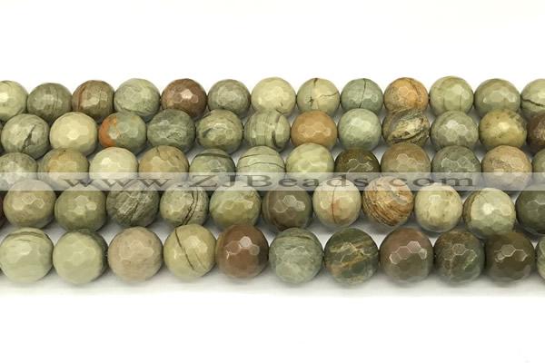 CSL173 15 inches 10mm faceted round silver leaf jasper gemstone beads