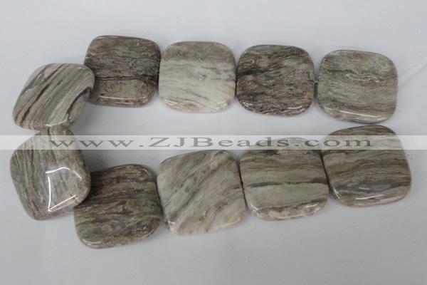 CSL59 15.5 inches 40*40mm square silver leaf jasper beads wholesale