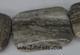 CSL72 15.5 inches 30*40mm rectangle silver leaf jasper beads wholesale