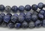 CSO41 15.5 inches 8mm round sodalite gemstone beads wholesale