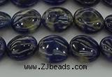 CSO671 15.5 inches 12mm flat round sodalite gemstone beads