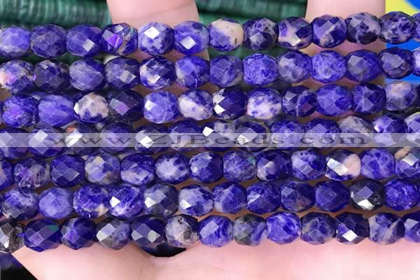 CSO850 15.5 inches 6*6mm faceted drum sodalite beads wholesale