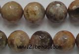 CSS100 15.5 inches 16mm faceted round natural sunstone beads wholesale