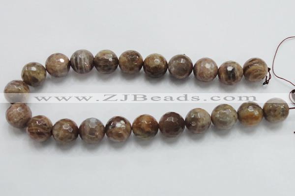 CSS101 15.5 inches 18mm faceted round natural sunstone beads wholesale