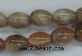 CSS248 15.5 inches 12*16mm teardrop natural sunstone beads