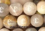 CSS692 15.5 inches 8mm round sunstone beads wholesale