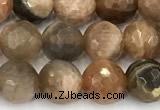 CSS831 15 inches 8mm faceted round sunstone beads