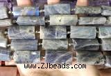CTB674 14*27mm - 15*28mm faceted flat tube labradorite beads