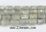 CTB876 13*25mm - 14*19mm faceted tube moonstone beads
