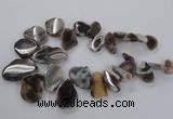 CTD1618 Top drilled 15*25mm - 30*45mm freeform botswana agate beads