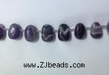 CTD2144 Top drilled 15*25mm - 18*25mm freeform dogtooth amethyst beads