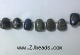 CTD2151 Top drilled 15*25mm - 18*25mm freeform labradorite beads