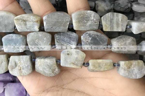 CTD2285 Top drilled 15*20mm - 17*23mm freeform labradorite beads