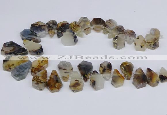 CTD2732 Top drilled 15*20mm - 25*35mm freeform montana agate beads