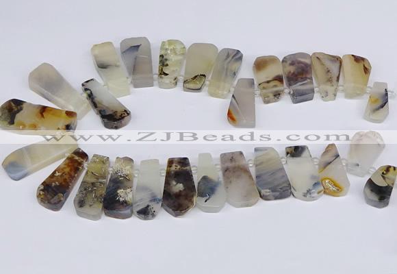 CTD2733 Top drilled 15*25mm - 20*35mm freeform montana agate beads