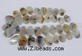 CTD2825 Top drilled 15*25mm - 25*35mm freeform Montana agate beads