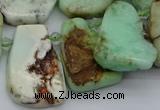 CTD335 Top drilled 15*20mm - 25*30mm freeform Australia chrysoprase beads