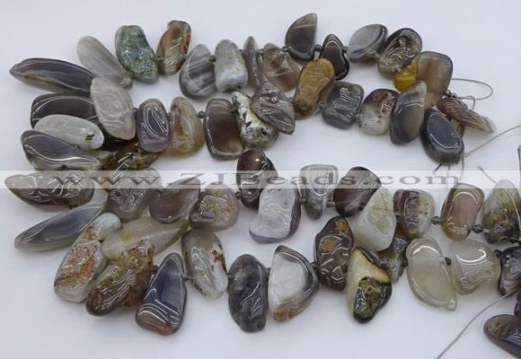 CTD3525 Top drilled 12*20mm - 15*40mm freeform botswana agate beads