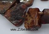 CTD3596 Top drilled 15*20mm - 25*30mm freeform orange garnet beads