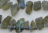 CTD3631 Top drilled 6*15mm - 10*20mm nuggets labradorite beads