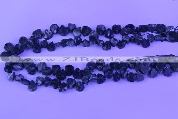 CTD3861 Top drilled 8*10mm - 10*12mm freeform seraphinite beads