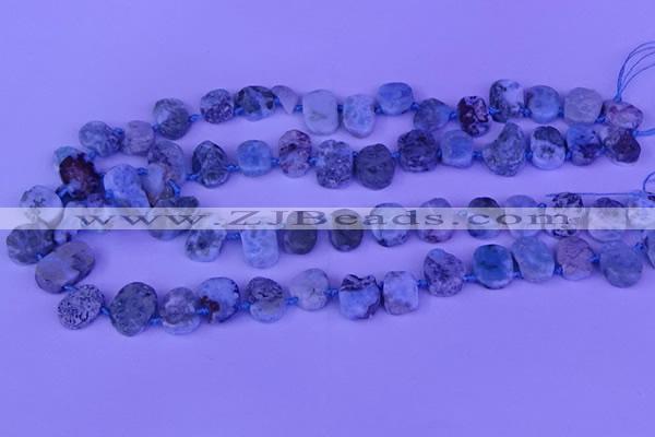 CTD3889 Top drilled 12*16mm - 13*17mm freeform larimar beads