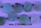 CTD3894 Top drilled 10*12mm - 10*14mm freeform Australia chrysoprase beads