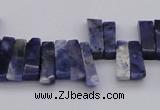 CTD401 Top drilled 4*15mm - 6*20mm sticks sodalite gemstone beads