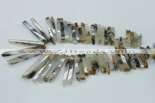 CTD830 15.5 inches 6*30mm - 7*65mm sticks montana agate beads