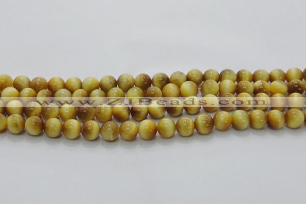 CTE1401 15.5 inches 6mm round golden tiger eye beads wholesale