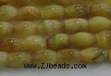 CTE1515 15.5 inches 6*10mm rice golden tiger eye beads wholesale