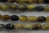 CTE1550 15.5 inches 4*6mm rice golden & blue tiger eye beads wholesale