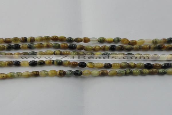 CTE1550 15.5 inches 4*6mm rice golden & blue tiger eye beads wholesale