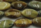 CTE1570 15.5 inches 11*18mm marquise golden & blue tiger eye beads