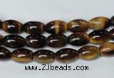 CTE158 15.5 inches 8*12mm rice yellow tiger eye gemstone beads