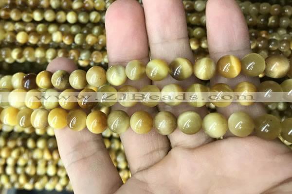 CTE2009 15.5 inches 8mm round golden tiger eye beads wholesale