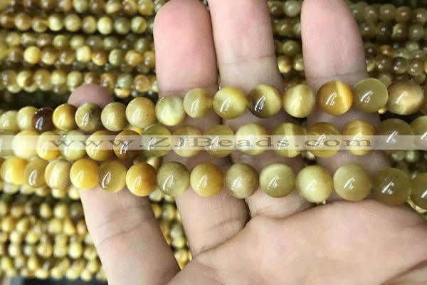 CTE2009 15.5 inches 8mm round golden tiger eye beads wholesale
