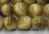 CTE2141 15.5 inches 8mm round golden tiger eye beads wholesale