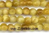 CTE2381 15 inches 4mm round golden tiger eye beads