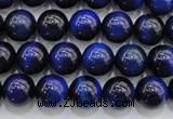 CTE416 15.5 inches 8mm round blue tiger eye beads wholesale